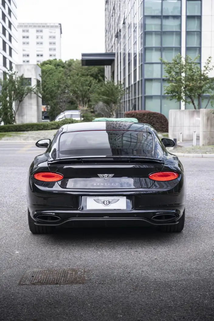 Continental 2022 Model 6.0T GT W12 – фото 5