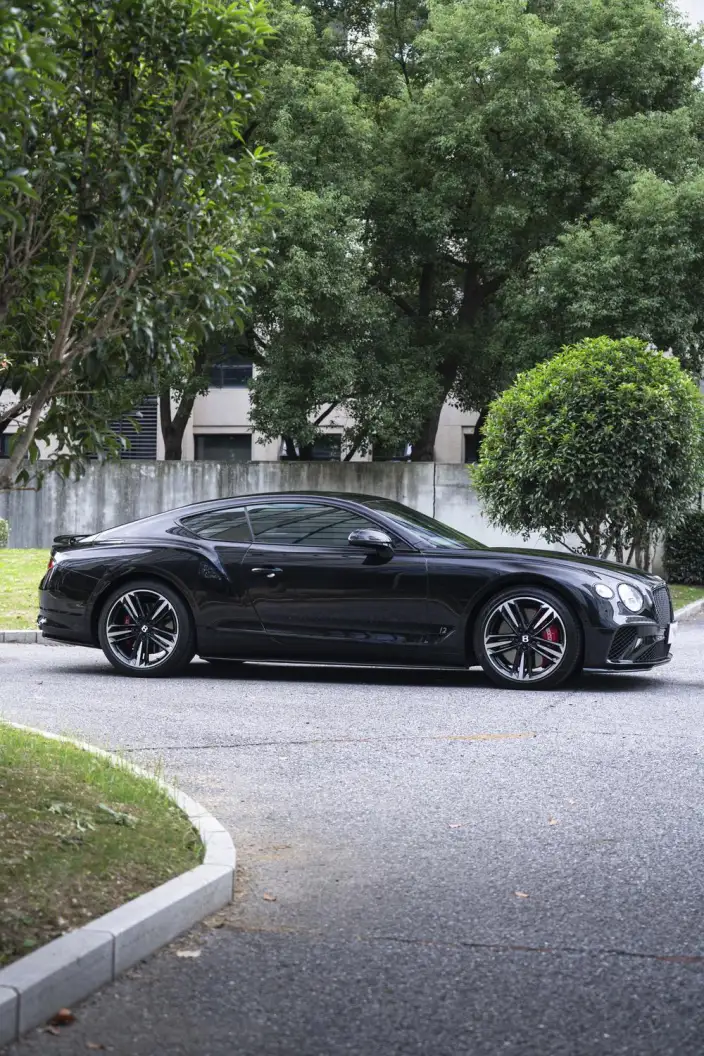 Continental 2022 Model 6.0T GT W12 – фото 8