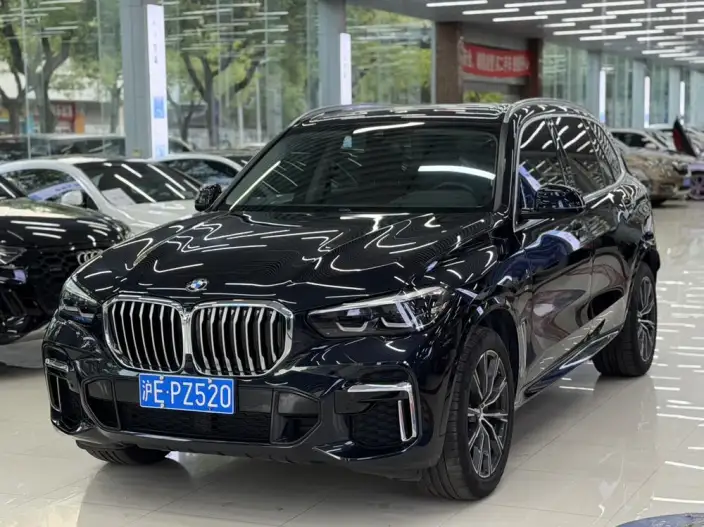 BMW X5 2022 Model xDrive 30Li Exclusive Model M Sports Set – фото 1