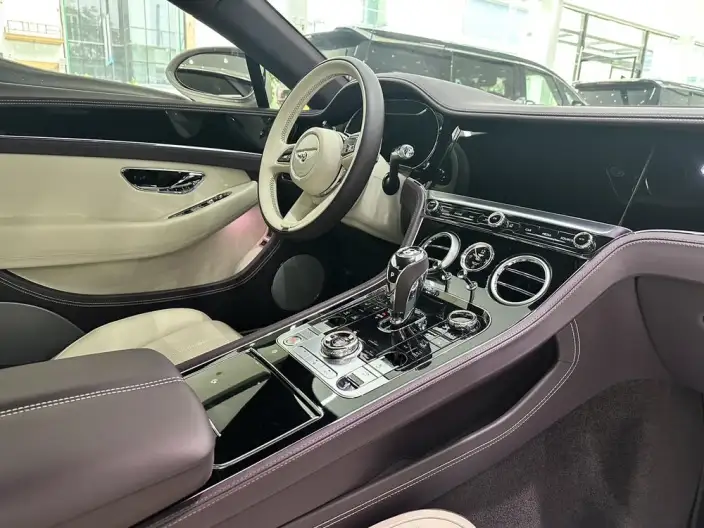 Continental 2024 Model 4.0T GT V8 – фото 8