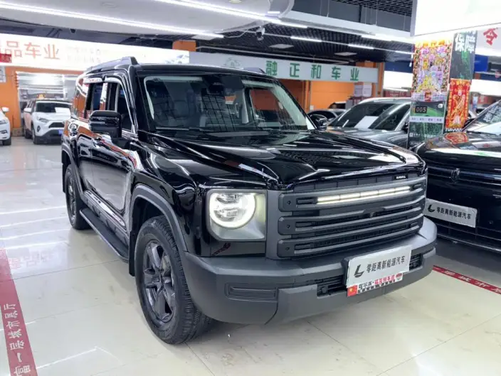 HAVAL Menglong PHEV 2023 Model 1.5T Hi4 145 Tiggo Edition – фото 3