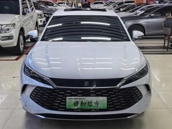 QinL DM 2024 Model DM-i 120KM Leading Model – фото 2