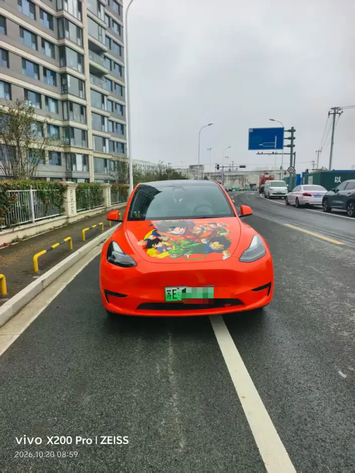Model Y 2022 Model Rear-wheel drive version – фото 4