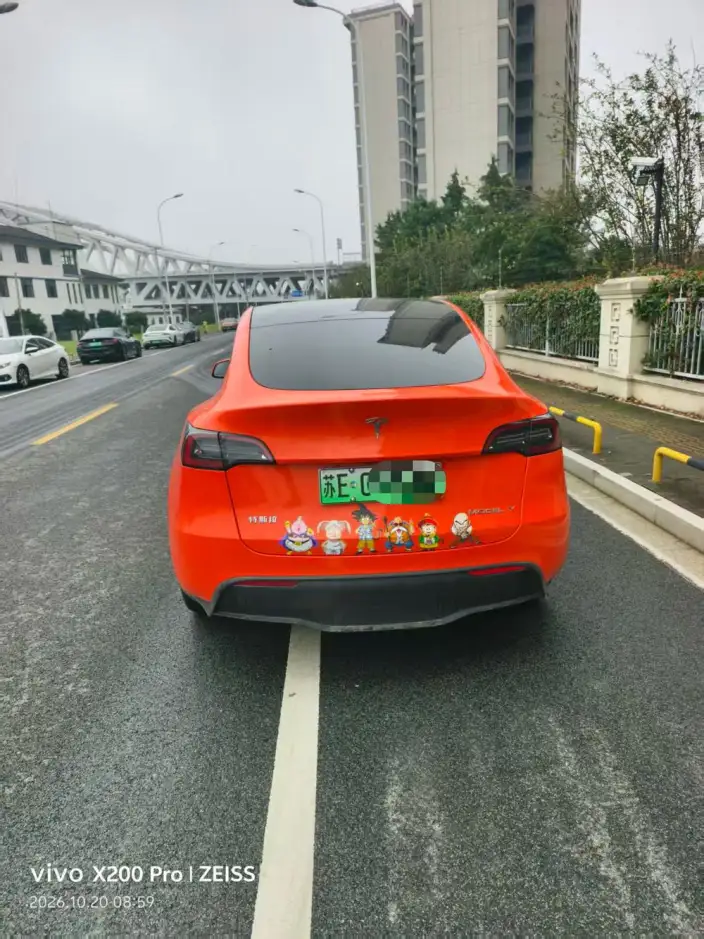 Model Y 2022 Model Rear-wheel drive version – фото 6