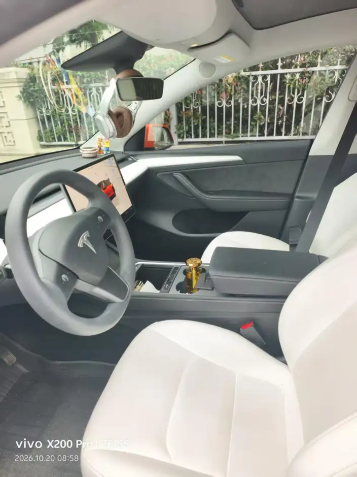 Model Y 2022 Model Rear-wheel drive version – фото 8