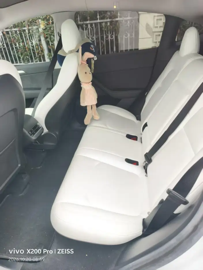 Model Y 2022 Model Rear-wheel drive version – фото 9