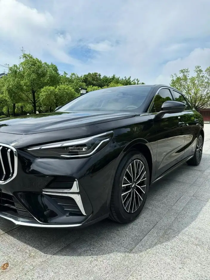 Geely Emgrand 2026 Model No. 5 Gen 1.5L CVT Luxury Model – фото 6