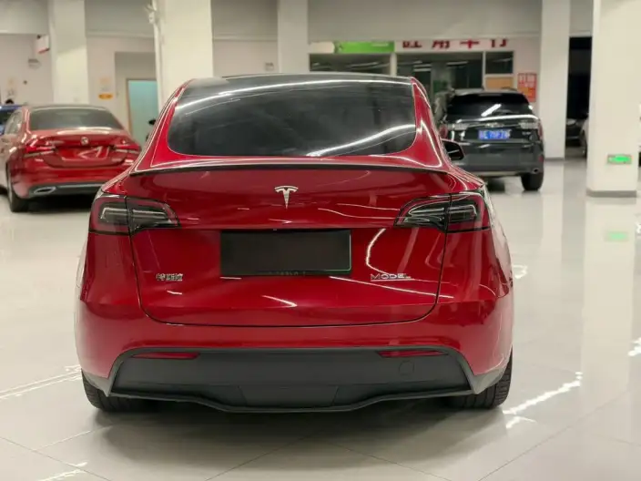 Model Y 2022 Model Performance High performance All-wheel drive version – фото 5