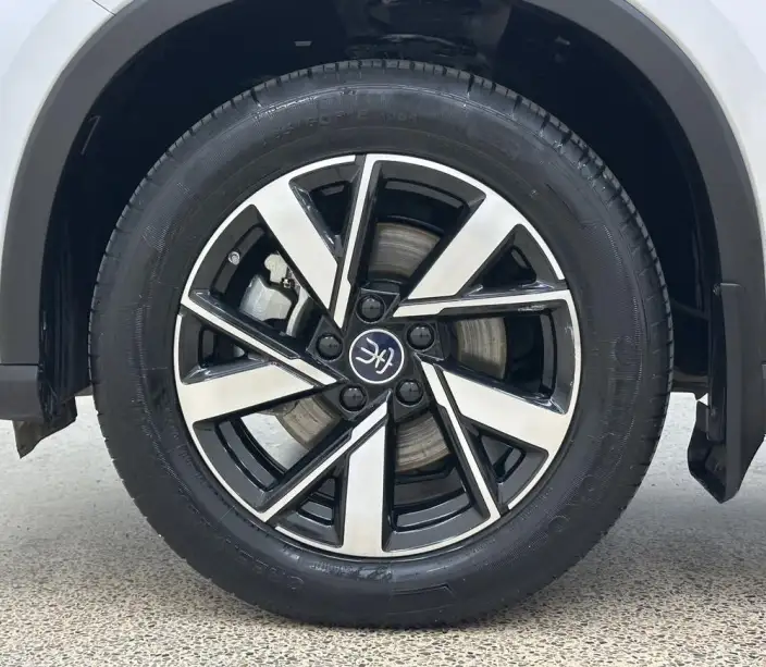 BYD Song Pro DM 2023 Model DM-i Champion Edition 71km Pilot Model – фото 8