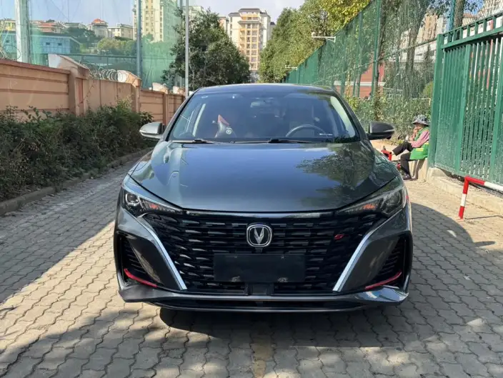 Changan Eado 2022 Model PLUS Blue whale NE 1.4T GDI DCT Noble Model