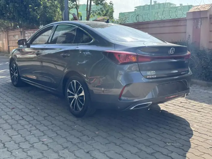 Changan Eado 2022 Model PLUS Blue whale NE 1.4T GDI DCT Noble Model