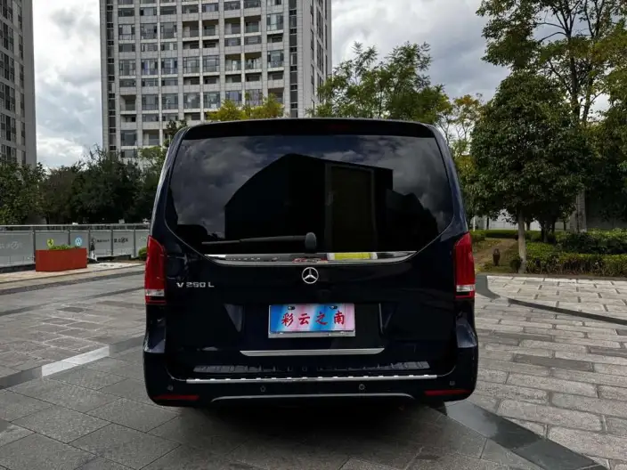 Mercedes-Benz V-Class 2021 Model V 260 L Long wheelbase Deluxe Edition – фото 6