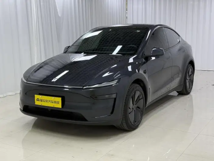 Model Y 2026 Model Long Battery Life Pro Rear-wheel drive version – фото 1