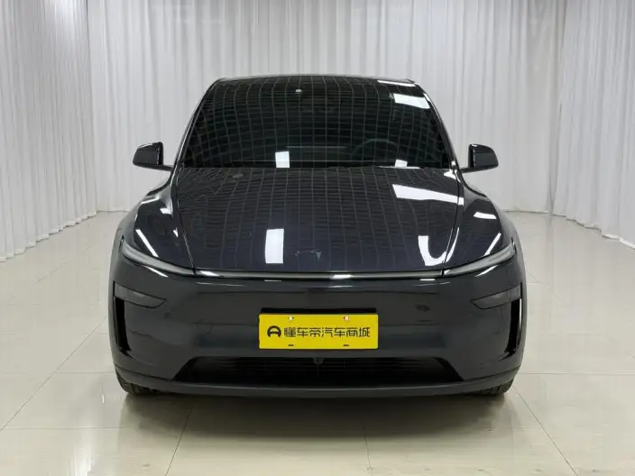Model Y 2026 Model Long Battery Life Pro Rear-wheel drive version – фото 2