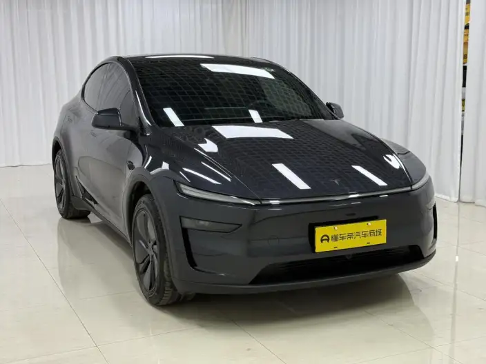 Model Y 2026 Model Long Battery Life Pro Rear-wheel drive version – фото 3