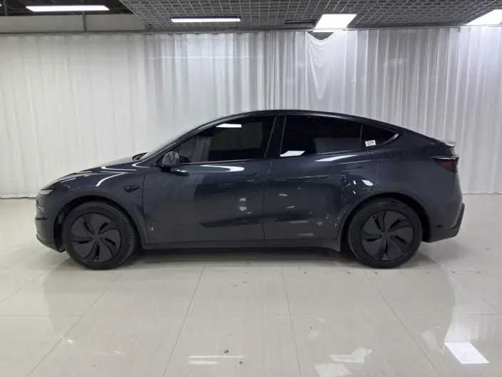 Model Y 2026 Model Long Battery Life Pro Rear-wheel drive version – фото 4