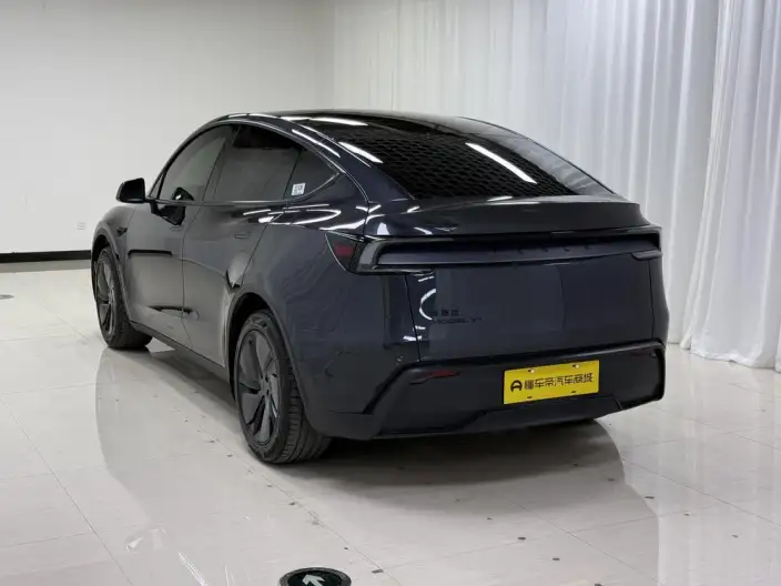 Model Y 2026 Model Long Battery Life Pro Rear-wheel drive version – фото 5