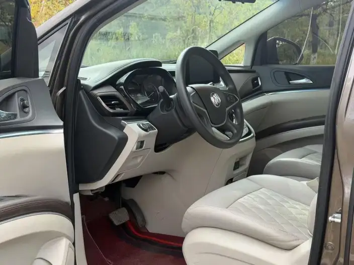Buick GL8 2023 Model Business class 2.0T Comfort Model – фото 8