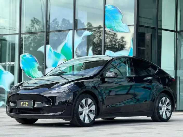 Model Y 2022 Model Rear-wheel drive version – фото 1