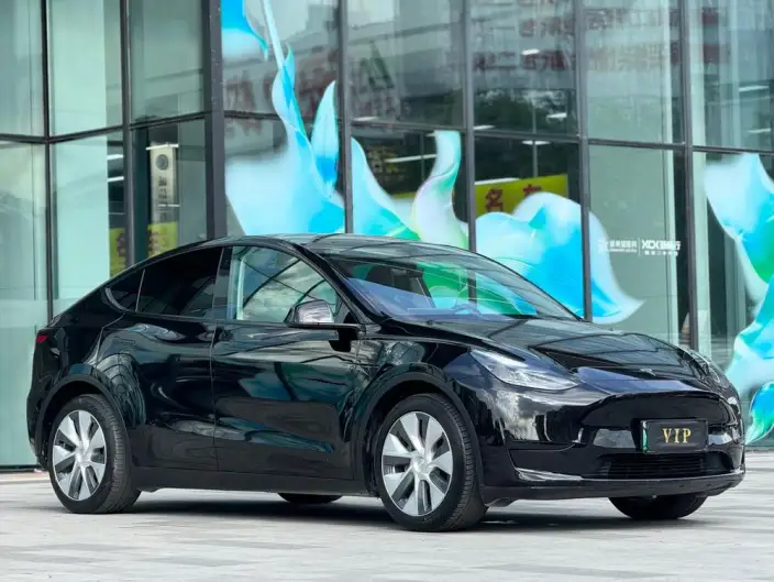 Model Y 2022 Model Rear-wheel drive version – фото 3