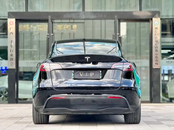 Model Y 2022 Model Rear-wheel drive version – фото 6