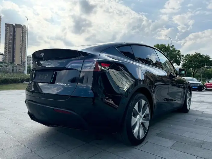 Model Y 2022 Model Rear-wheel drive version – фото 7