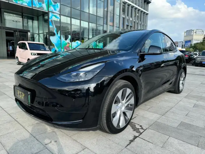 Model Y 2022 Model Rear-wheel drive version – фото 10