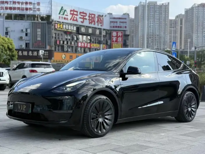 Model Y 2021 Model Standard Battery Life Rear-wheel drive version – фото 1