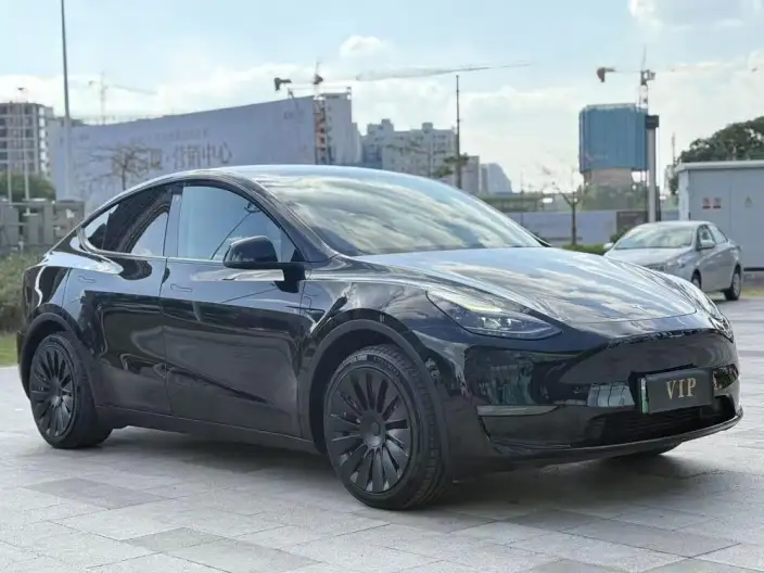 Model Y 2021 Model Standard Battery Life Rear-wheel drive version – фото 3