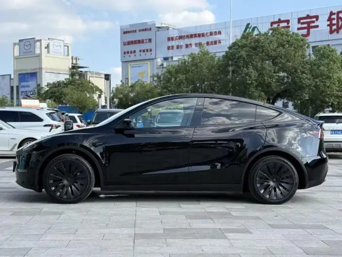Model Y 2021 Model Standard Battery Life Rear-wheel drive version – фото 4