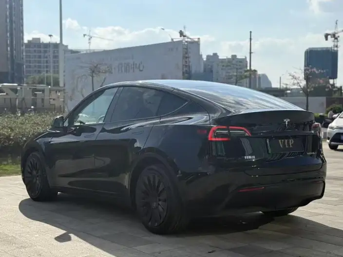Model Y 2021 Model Standard Battery Life Rear-wheel drive version – фото 5
