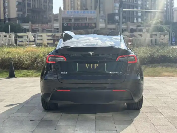 Model Y 2021 Model Standard Battery Life Rear-wheel drive version – фото 6