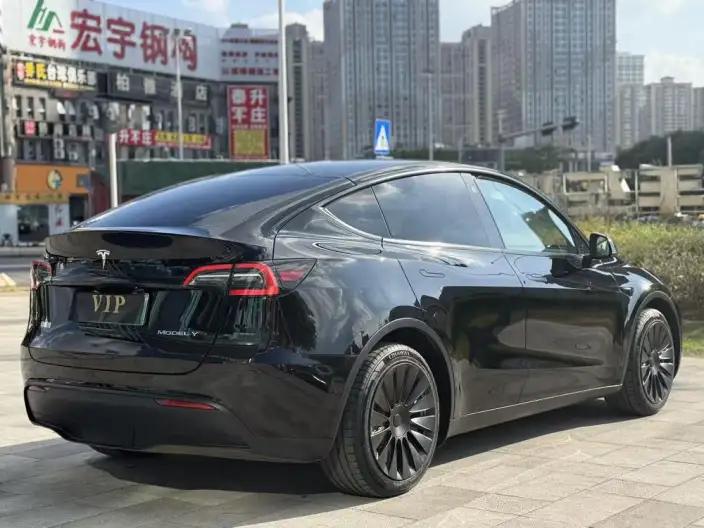 Model Y 2021 Model Standard Battery Life Rear-wheel drive version – фото 7