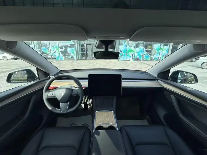 Model Y 2021 Model Standard Battery Life Rear-wheel drive version – фото 8
