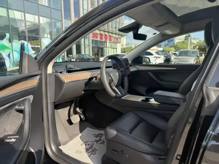 Model Y 2021 Model Standard Battery Life Rear-wheel drive version – фото 9