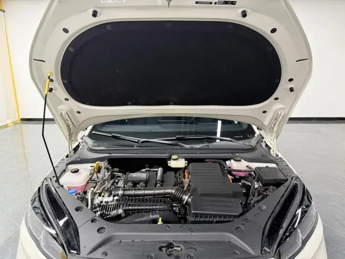 BYD Seal 06 DM 2025 Model Smart Driving Edition DM-i 80KM Luxury Model – фото 10