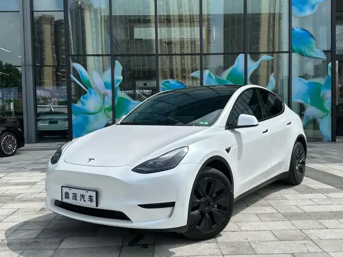 Model Y 2023 Model Rear-wheel drive version – фото 1
