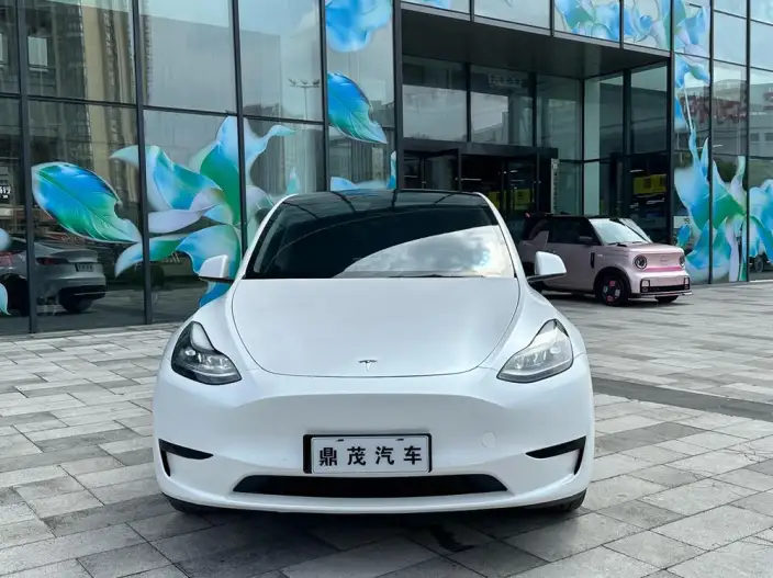 Model Y 2023 Model Rear-wheel drive version – фото 2
