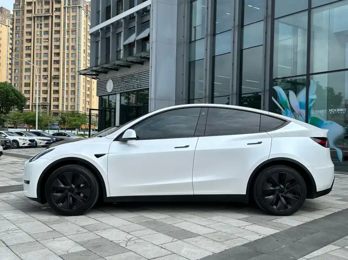 Model Y 2023 Model Rear-wheel drive version – фото 4