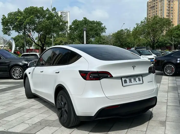 Model Y 2023 Model Rear-wheel drive version – фото 5