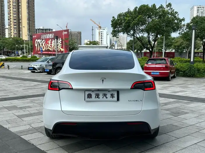 Model Y 2023 Model Rear-wheel drive version – фото 6
