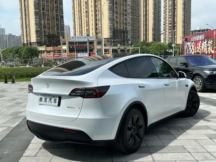 Model Y 2023 Model Rear-wheel drive version – фото 7