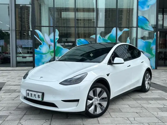 Model Y 2022 Model Facelift Rear-wheel drive version – фото 1