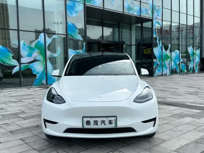 Model Y 2022 Model Facelift Rear-wheel drive version – фото 2