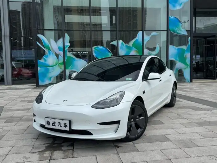 Model 3 2022 Model Rear-wheel drive version – фото 1
