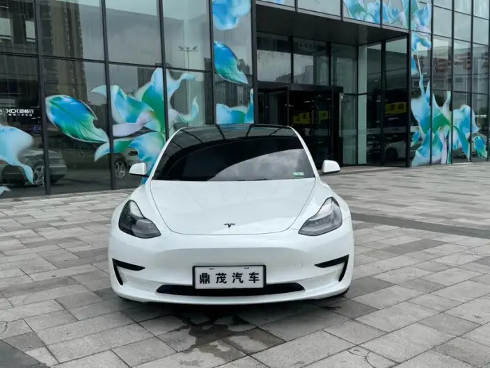 Model 3 2022 Model Rear-wheel drive version – фото 2