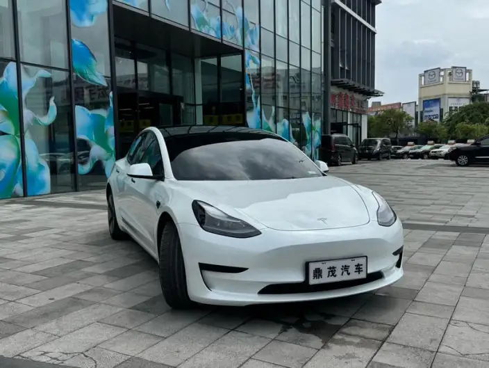 Model 3 2022 Model Rear-wheel drive version – фото 3