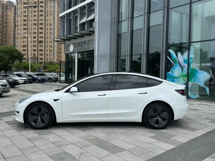 Model 3 2022 Model Rear-wheel drive version – фото 4
