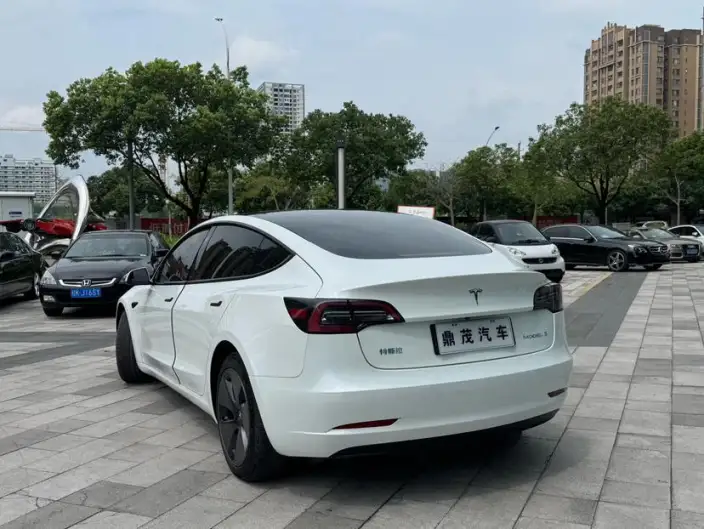 Model 3 2022 Model Rear-wheel drive version – фото 5