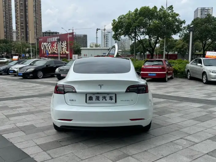 Model 3 2022 Model Rear-wheel drive version – фото 6